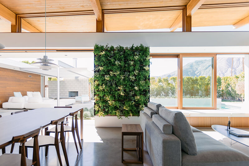 Turkel designed living room with large Marvin Windows and living space green wall